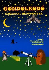 Gondolkodó - Éjszakai rejtvények - Kreatív készségfejlesztő óvodásoknak és kisiskolásoknak -  (Könyv)