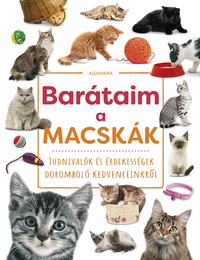 Barátaim, a macskák - Tudnivalók és érdekességek doromboló kedvenceinkről -  (Könyv)