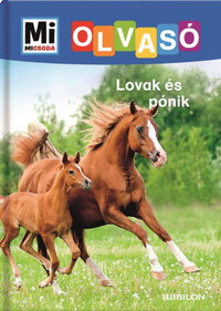 Christina Braun: Lovak és pónik - Mi Micsoda Olvasó -  (Könyv)