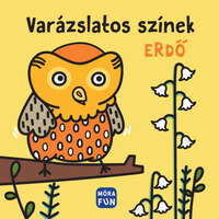 Varázslatos színek - Erdő - pancsolókönyv -  (Könyv)