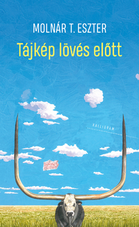 Molnár T. Eszter: Tájkép lövés előtt -  (Könyv)