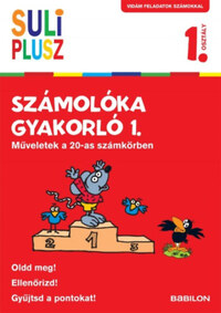 Birgit Fuchs: Suli Plusz Számolóka gyakorló 1. - Műveletek a 20-as számkörben -  (Könyv)