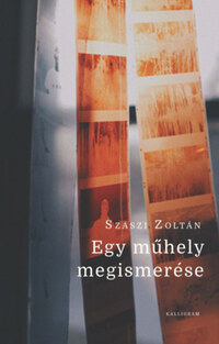 Szászi Zoltán: Egy műhely megismerése -  (Könyv)