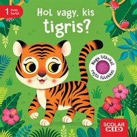 Mila Rulff: Hol vagy, kis tigris? -  (Könyv)