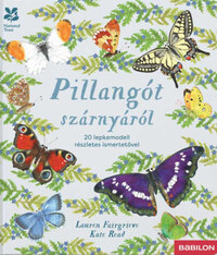 Lauren Fairgrieve: Pillangót szárnyáról - 20 lepkemodell részletes ismertetővel -  (Könyv)