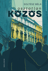 Soltész Béla: Osztatlan közös -  (Könyv)