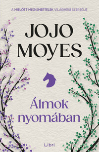 Jojo Moyes: Álmok nyomában -  (Könyv)