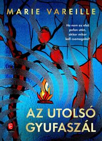 Marie Vareille: Az utolsó gyufaszál -  (Könyv)