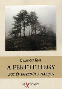 Billinger Edit: A Fekete hegy - Egy év egyedül a házban -  (Könyv)