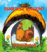 Radvány Zsuzsa: Ismersz engem? - Háziállatok -  (Könyv)